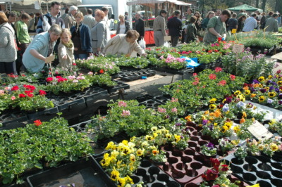 Marché aux fleurs