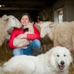 A la Bergerie de Léonie...