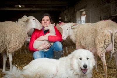 A la Bergerie de Léonie...